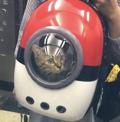 モンスターボールリュック