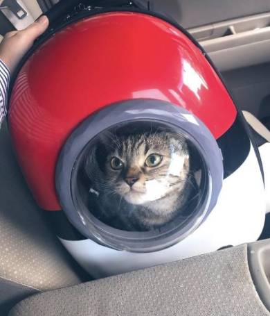 モンスターボールリュック