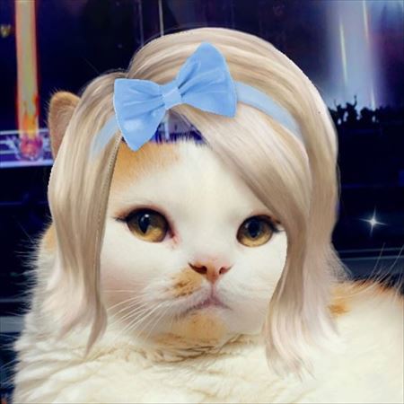 マンチカンズと仲間たち