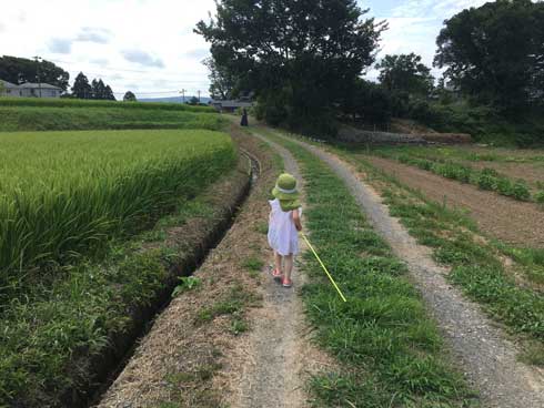 田舎という言葉を使わないで田舎を表現 ツイート Twitter ハッシュタグ 2019