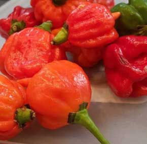 モスバーガー 激辛テリヤキチキンバーガー 最も辛い 期間限定