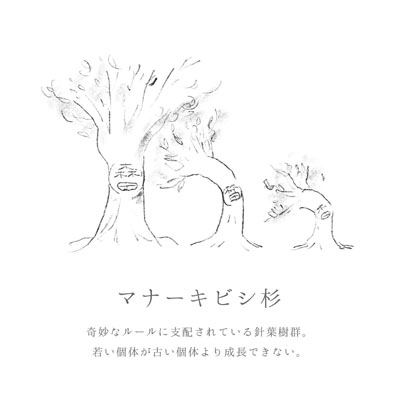 マナーキビシ杉