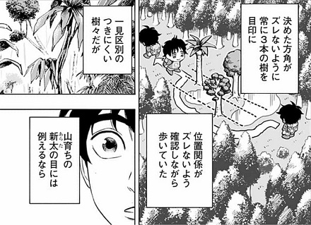 アラタプライマル