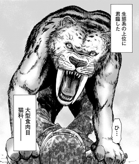 アラタプライマル