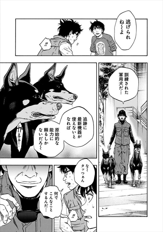 アラタプライマル