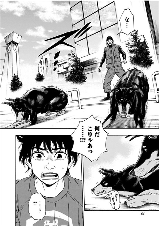 アラタプライマル