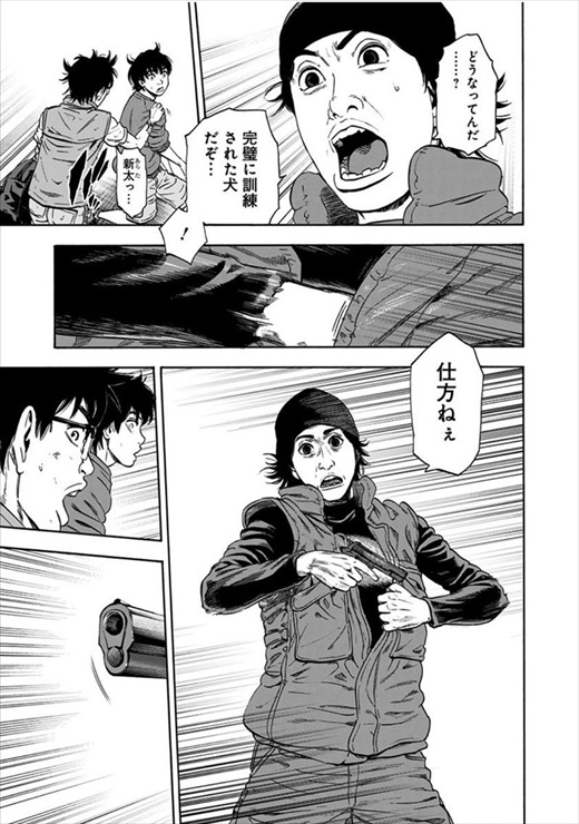 アラタプライマル