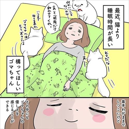 クマゴマさんの漫画