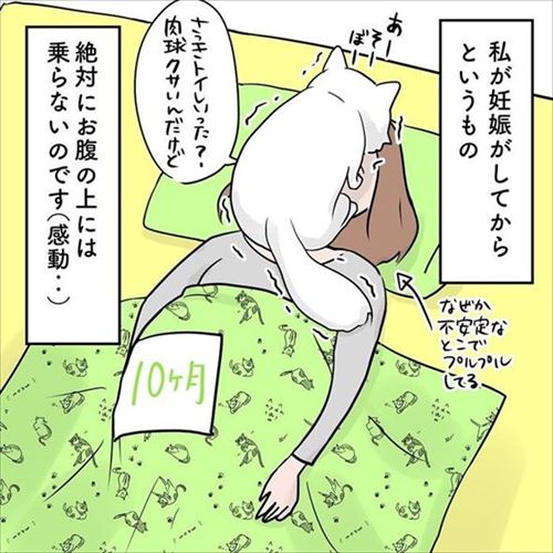クマゴマさんの漫画