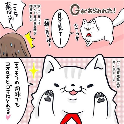 クマゴマさんの漫画