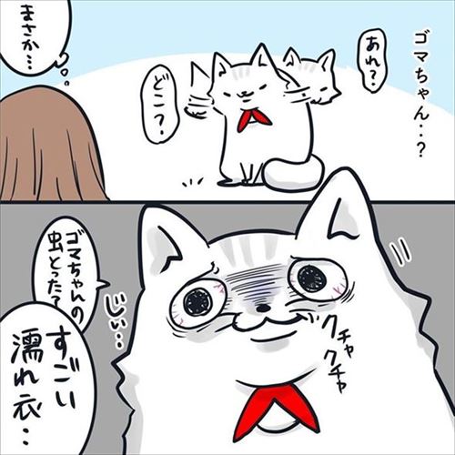 クマゴマさんの漫画