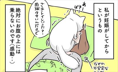 クマゴマさんの漫画