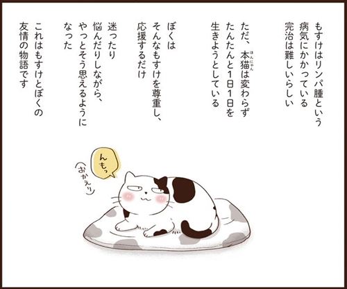 猫のターミナルケア