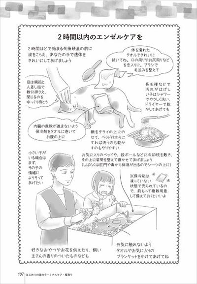 猫のターミナルケア