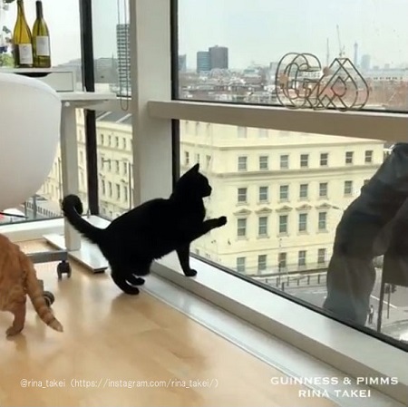 おじさんを見つめるギネスくん