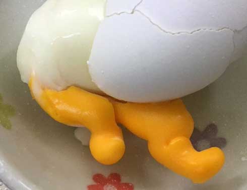 ゆで卵 変な生き物 足 ぐでたま