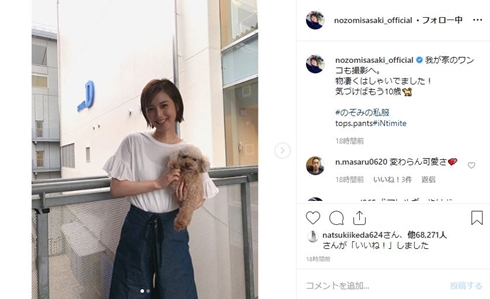 佐々木希 ペット 犬 トイプードル チワワ 名前 10歳 撮影