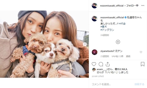 佐々木希 ペット 犬 トイプードル チワワ 名前 10歳 撮影