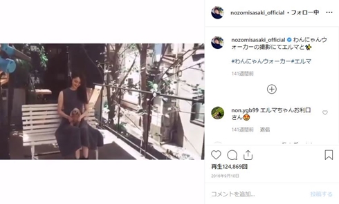 佐々木希 ペット 犬 トイプードル チワワ 名前 10歳 撮影