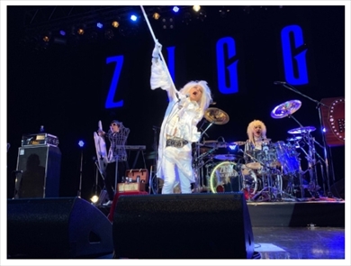 ZIGGY 森重樹一 ポリープ 手術 声帯 ライブ ブログ