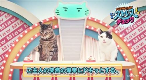 MiawMiawジューシーCM