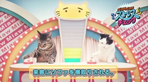 MiawMiawジューシーCM