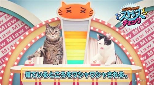 MiawMiawジューシーCM