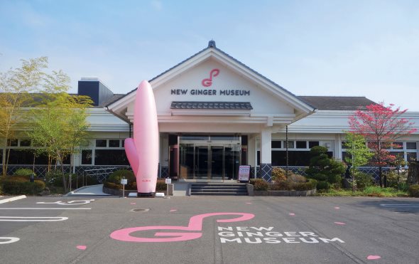 岩下の新生姜ミュージアム 阿佐ヶ谷姉妹 色