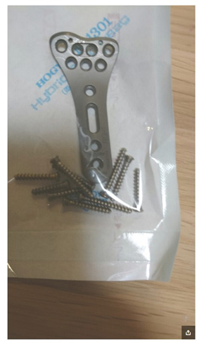 鈴木おさむ 大島美幸 骨折 プレート いつ 息子 エフ