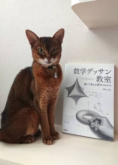 読書のじゃま 猫