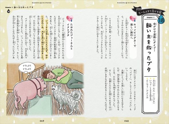 泣けるいきもの物語