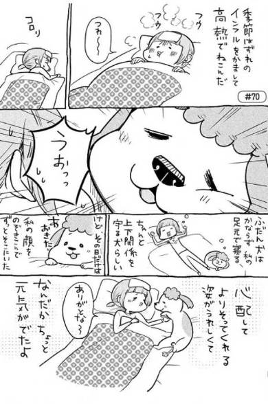 犬と猫どっちも飼ってると 3巻 松本ひで吉