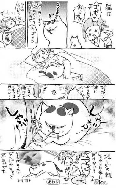 犬と猫どっちも飼ってると 3巻 松本ひで吉