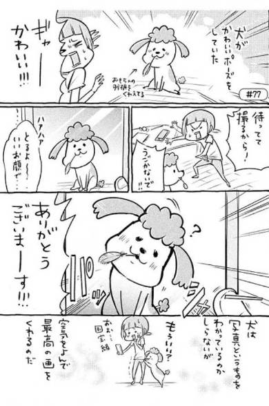 犬と猫どっちも飼ってると 3巻 松本ひで吉