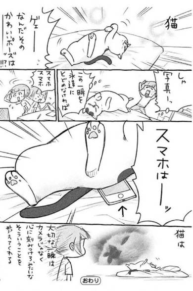 犬と猫どっちも飼ってると 3巻 松本ひで吉