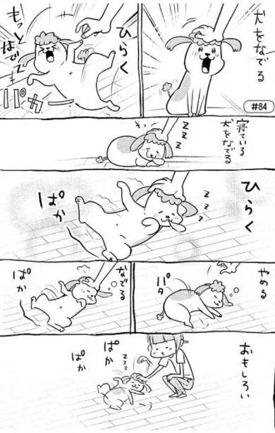 犬と猫どっちも飼ってると 3巻 松本ひで吉