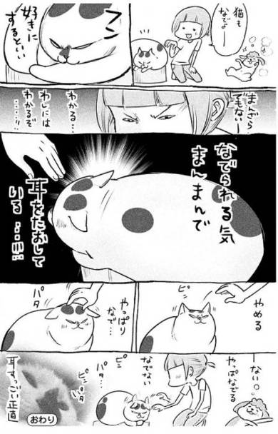 犬と猫どっちも飼ってると 3巻 松本ひで吉