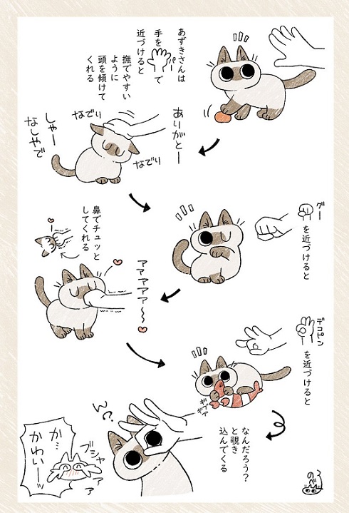 ぜったいに片付けられたくない