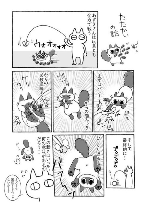 たたかいの話