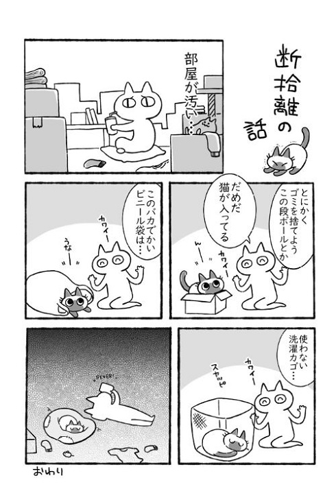 断捨離の話