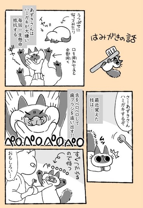 はみがきの話