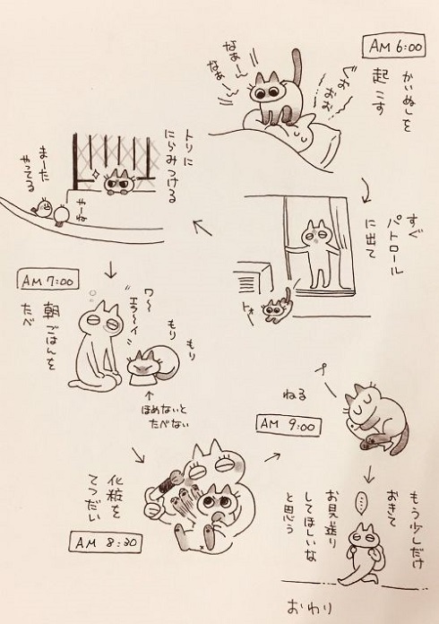 あずきさんの朝は早い