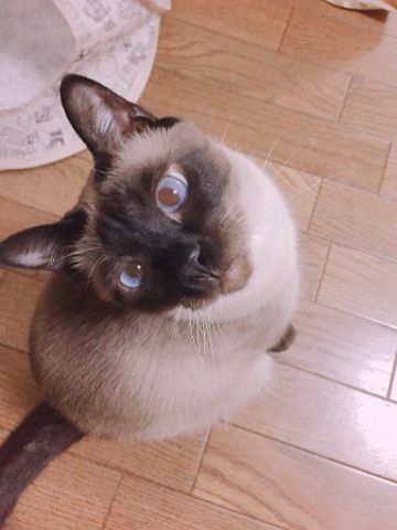 あそぶで！