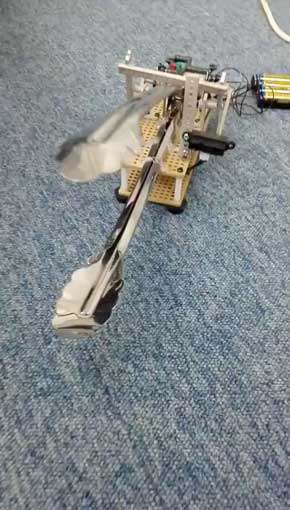 近づく 威嚇する トング かわいい