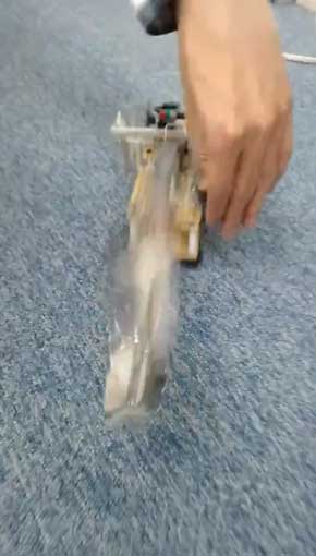 近づく 威嚇する トング かわいい