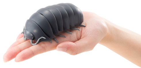 手のひらに載せた「だんごむし　まるまるスイング」