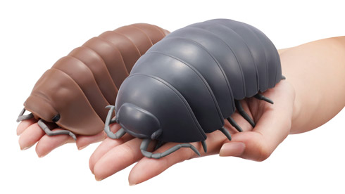 手のひら上に乗る大きなだんごむし