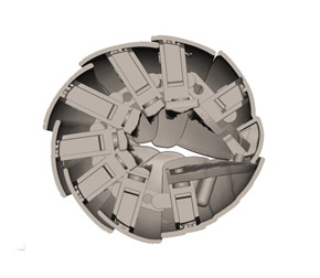 だんごむしの構造（丸まっているところ）