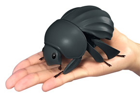 手のひらにのったマンマルコガネ