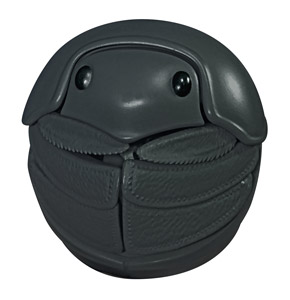 丸まったマンマルコガネ